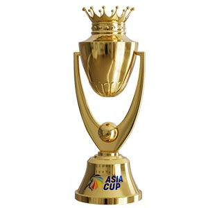 Cricket Asia Cup - Touch cricket